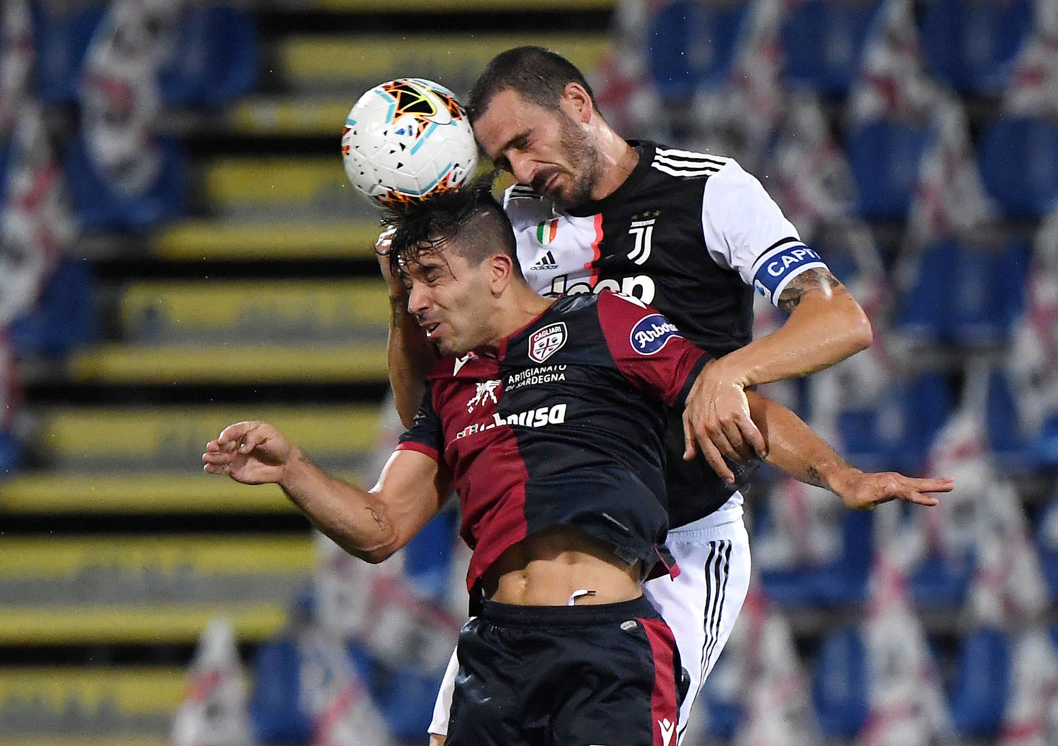 他们不仅获 他们不仅获